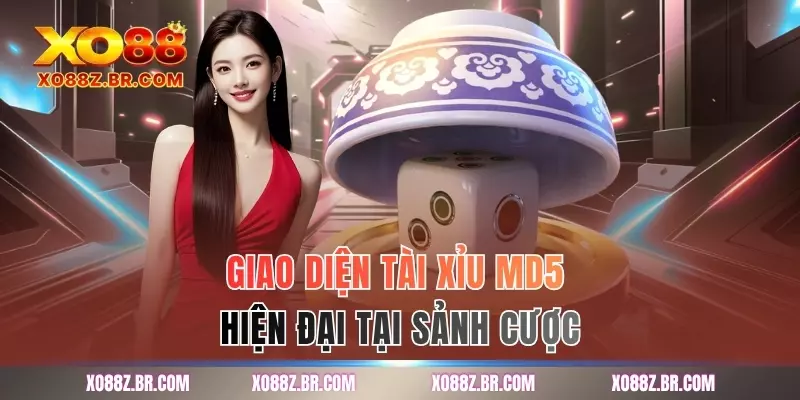 Giao diện tài xỉu MD5 hiện đại tại sảnh cược