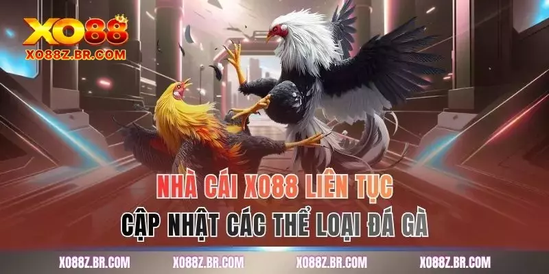 Nhà cái XO88 liên tục cập nhật các thể loại đá gà