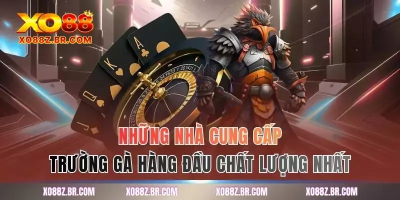 Những nhà cung cấp trường gà hàng đầu chất lượng nhất