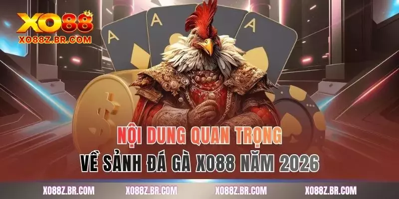 Nội dung quan trọng về sảnh đá gà XO88 năm 2026
